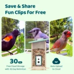 Smart Bird Feeder with Camera, AI Identify 6000+ Species, Solar Powered,Eco-friendly Wooden, Ideal Gift, Cyan - Image 2